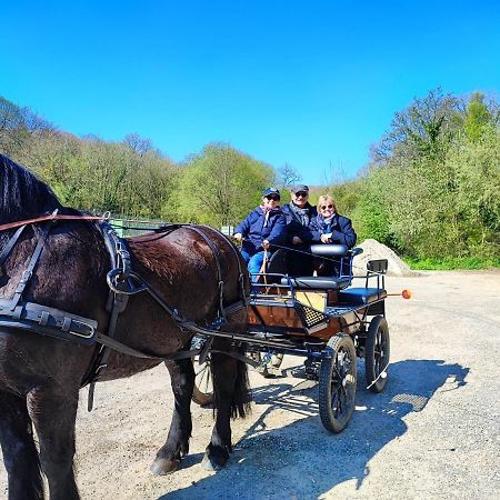 Eco-Gite La Chambre Du Vanneur Mentheville Exteriér fotografie