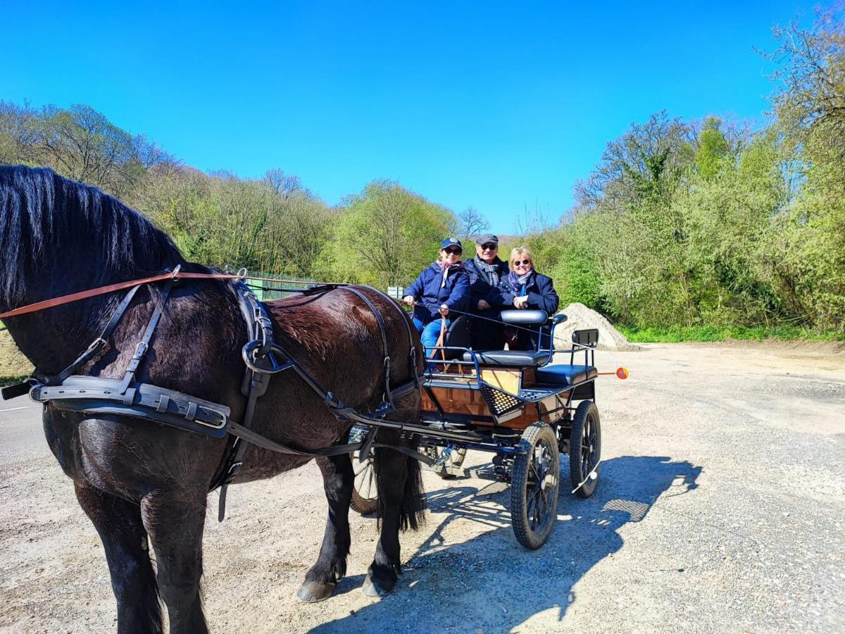 Eco-Gite La Chambre Du Vanneur Mentheville Exteriér fotografie